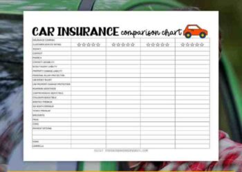 Car Insurance Comparison Chart