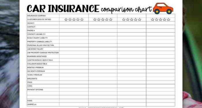 Car Insurance Comparison Chart