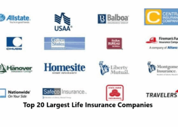 Top 20 Largest Life Insurance Companies Reviews 2022 – Daily Info BD