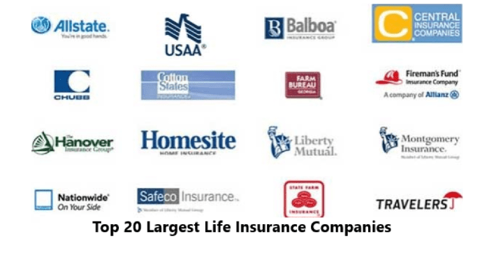 Top 20 Largest Life Insurance Companies Reviews 2022 – Daily Info BD