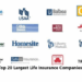 Top 20 Largest Life Insurance Companies Reviews 2022 – Daily Info BD